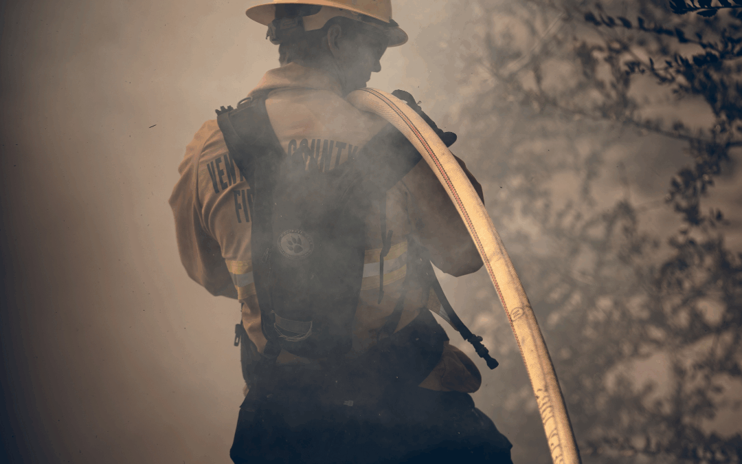 Fire Suppression Service: What It Includes and Why It Matters